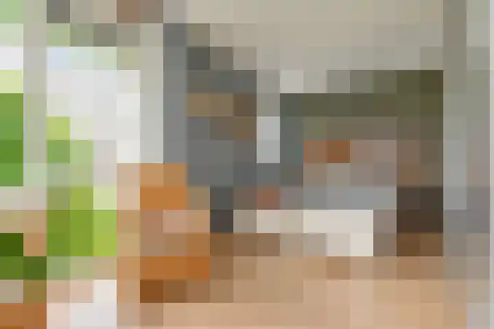 Maagdenpalm 1 a Nootdorp thumbnail 18