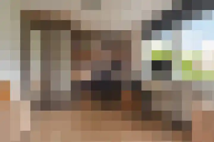 Maagdenpalm 1 a Nootdorp thumbnail 20