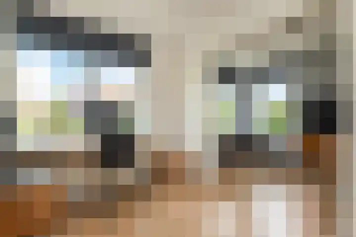 Maagdenpalm 1 a Nootdorp thumbnail 21