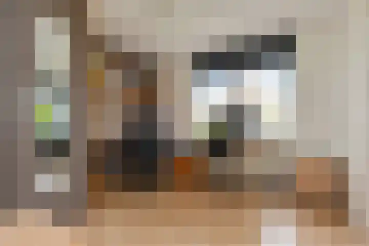 Maagdenpalm 1 a Nootdorp thumbnail 22