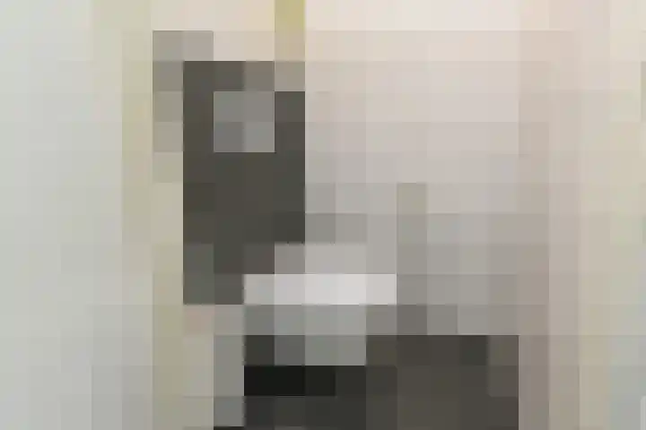 Maagdenpalm 1 a Nootdorp thumbnail 27