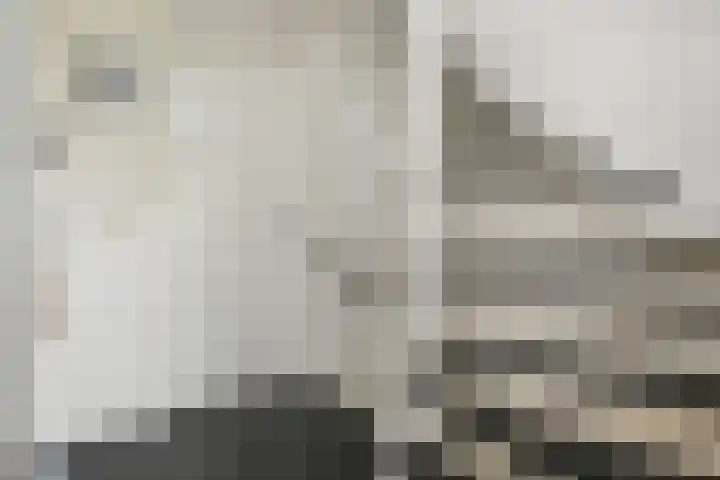 Maagdenpalm 1 a Nootdorp thumbnail 28