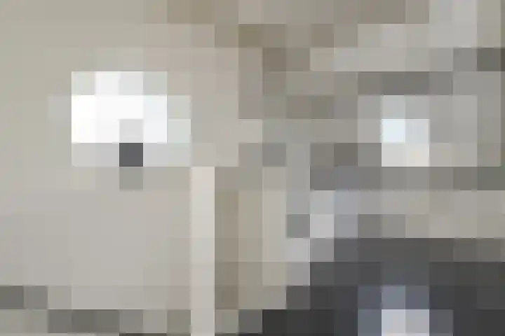 Maagdenpalm 1 a Nootdorp thumbnail 29