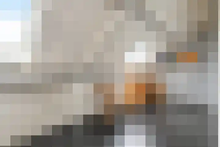 Maagdenpalm 1 a Nootdorp thumbnail 30