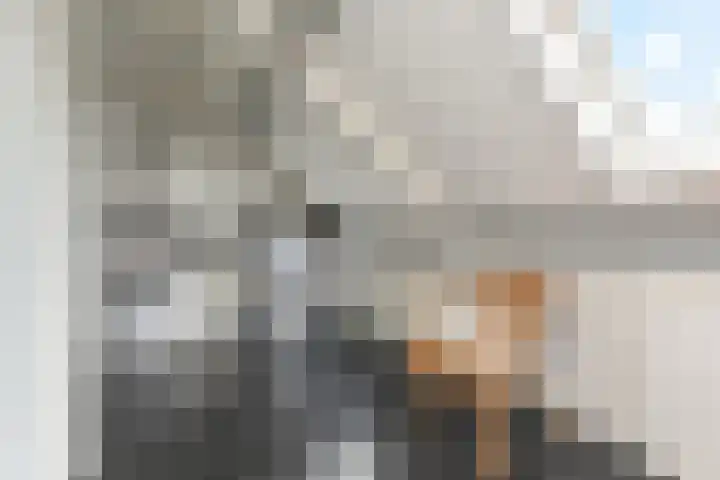 Maagdenpalm 1 a Nootdorp thumbnail 31