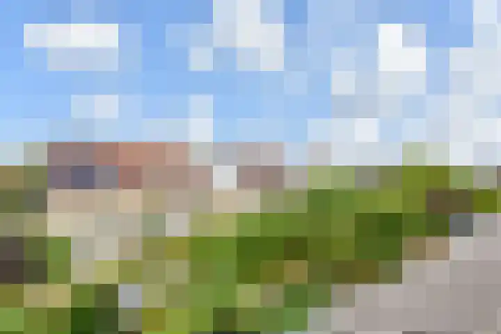 Maagdenpalm 1 a Nootdorp thumbnail 33