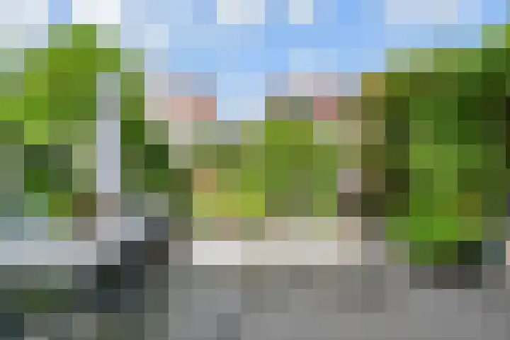 Maagdenpalm 1 a Nootdorp thumbnail 35