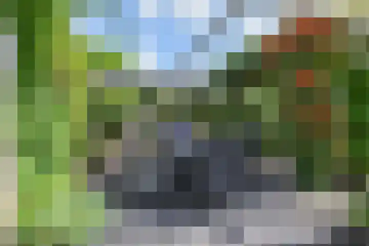 Maagdenpalm 1 a Nootdorp thumbnail 37