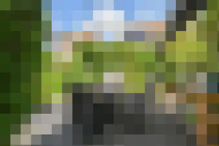 Maagdenpalm 1 a Nootdorp thumbnail 38
