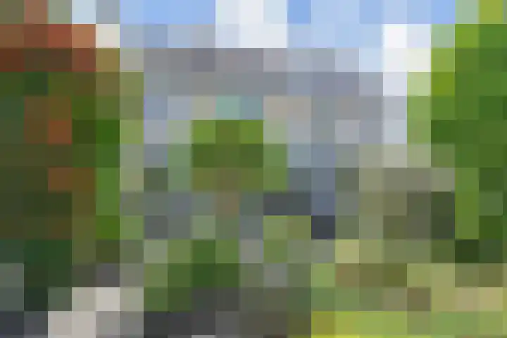 Maagdenpalm 1 a Nootdorp thumbnail 39