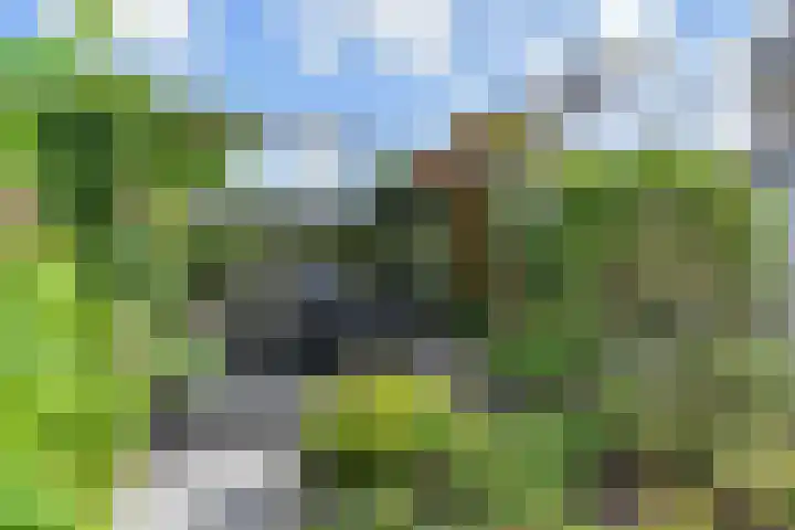 Maagdenpalm 1 a Nootdorp thumbnail 4