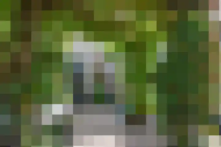 Maagdenpalm 1 a Nootdorp thumbnail 40