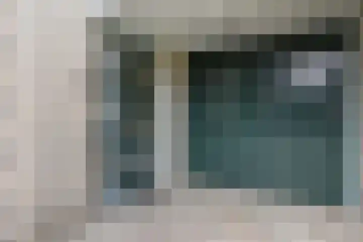 Maagdenpalm 1 a Nootdorp thumbnail 41