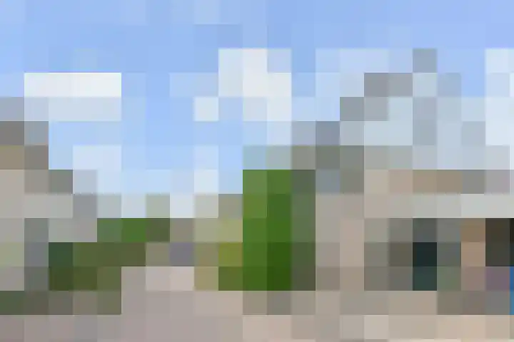 Maagdenpalm 1 a Nootdorp thumbnail 42
