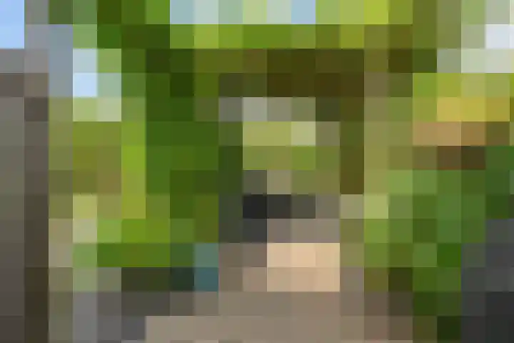 Maagdenpalm 1 a Nootdorp thumbnail 5