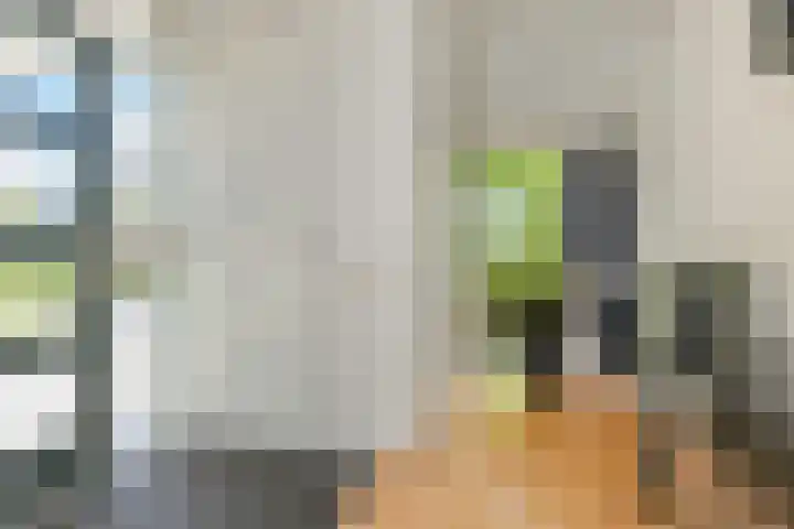 Maagdenpalm 1 a Nootdorp thumbnail 6