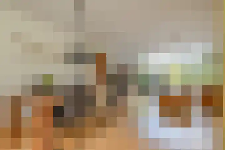 Maagdenpalm 1 a Nootdorp thumbnail 7