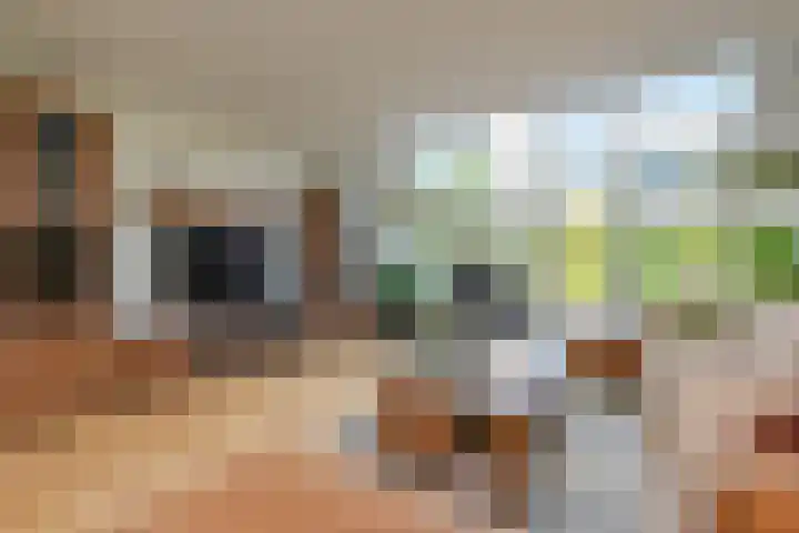 Maagdenpalm 1 a Nootdorp thumbnail 8