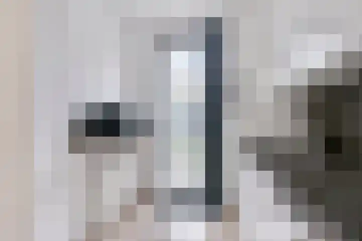 Maagdenpalm 14 Arnhem thumbnail 10