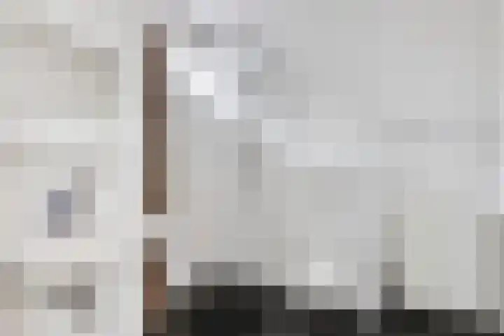 Maagdenpalm 14 Arnhem thumbnail 17