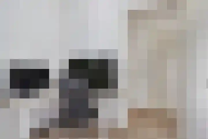 Maagdenpalm 14 Arnhem thumbnail 21