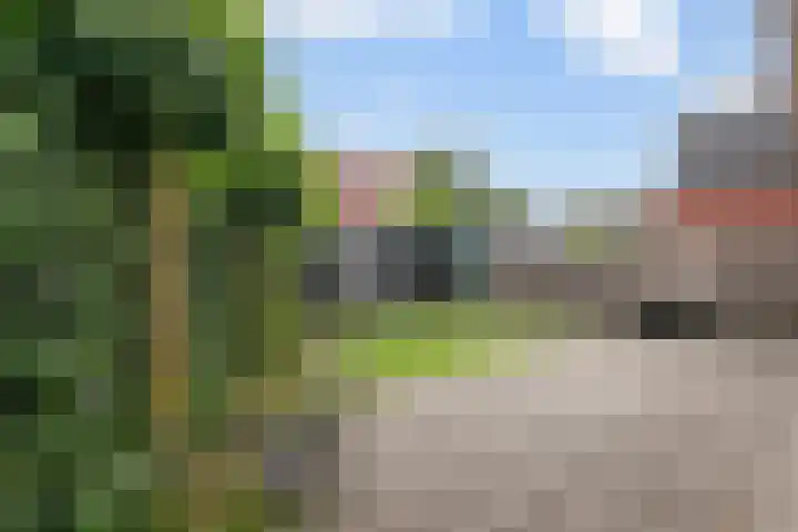 Maagdenpalm 14 Arnhem thumbnail 26