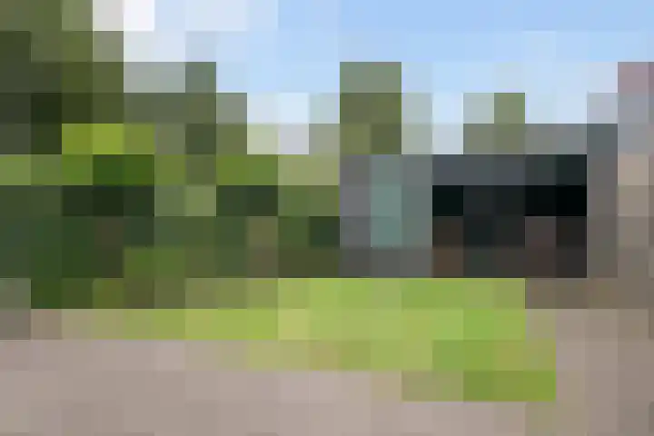 Maagdenpalm 14 Arnhem thumbnail 27