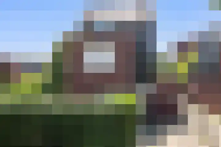 Maagdenpalm 14 Arnhem thumbnail 29