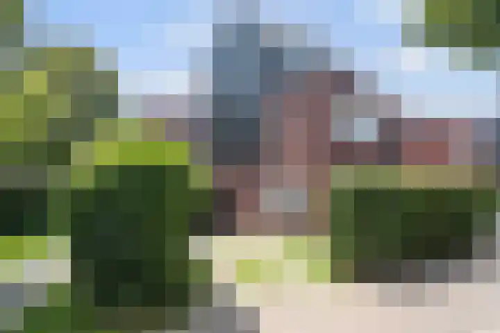 Maagdenpalm 14 Arnhem thumbnail 30