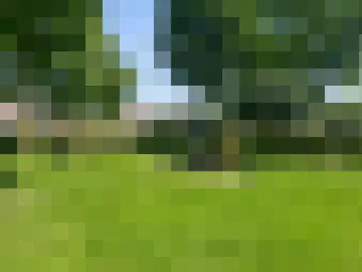 Maagdenpalm 14 Arnhem thumbnail 31