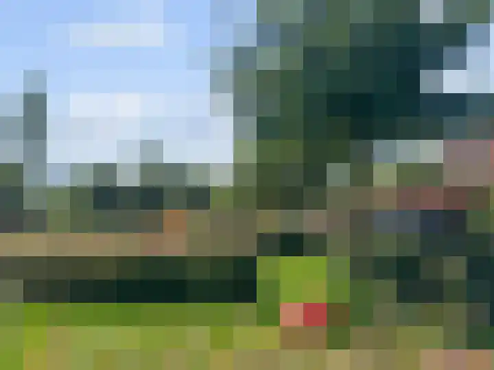 Maagdenpalm 14 Arnhem thumbnail 32