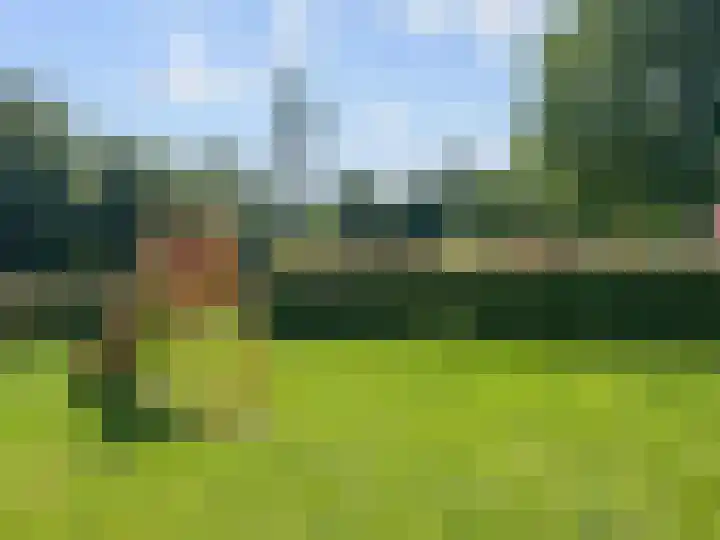 Maagdenpalm 14 Arnhem thumbnail 33