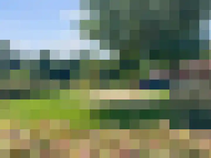 Maagdenpalm 14 Arnhem thumbnail 34