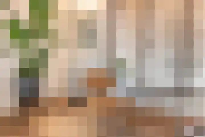 Maagdenpalmstraat 6 Amsterdam thumbnail 18