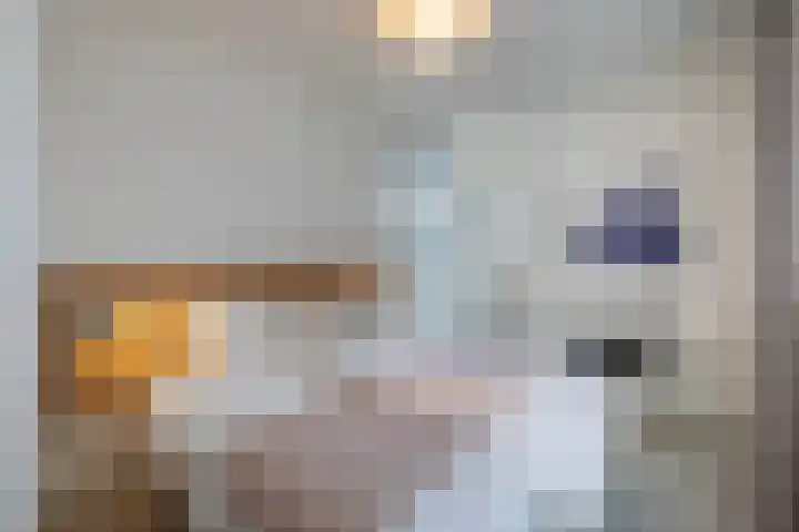 Maagdenpalmstraat 6 Amsterdam thumbnail 35