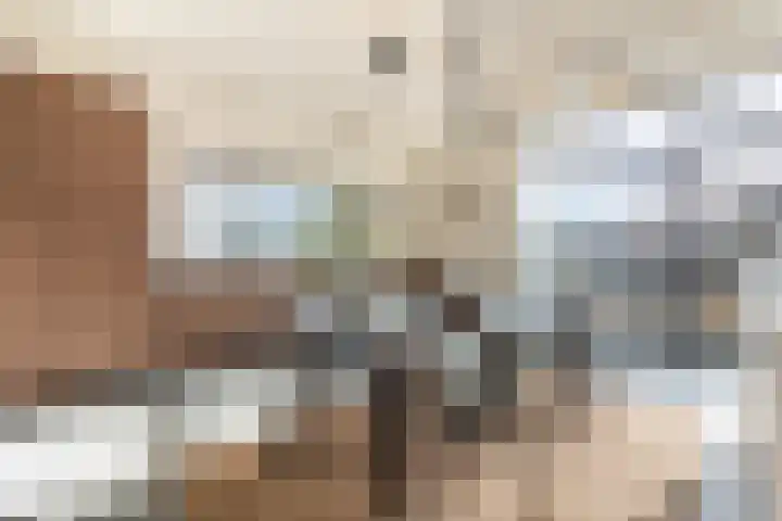 Maagdenpalmstraat 6 Amsterdam thumbnail 5