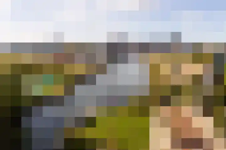Maagdenpalmstraat 6 Amsterdam thumbnail 51