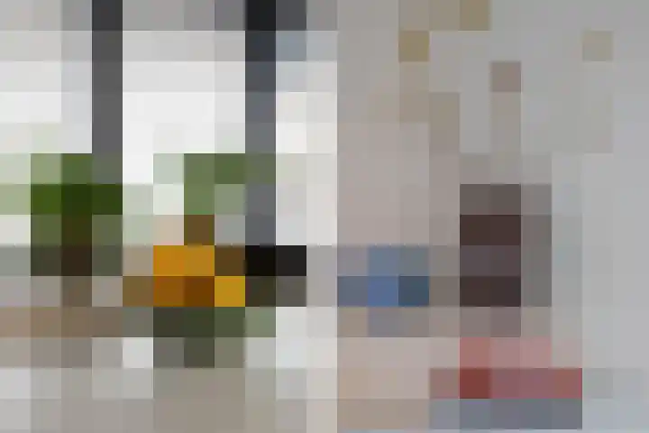 Maagdenpalmstraat 6 Amsterdam thumbnail 9