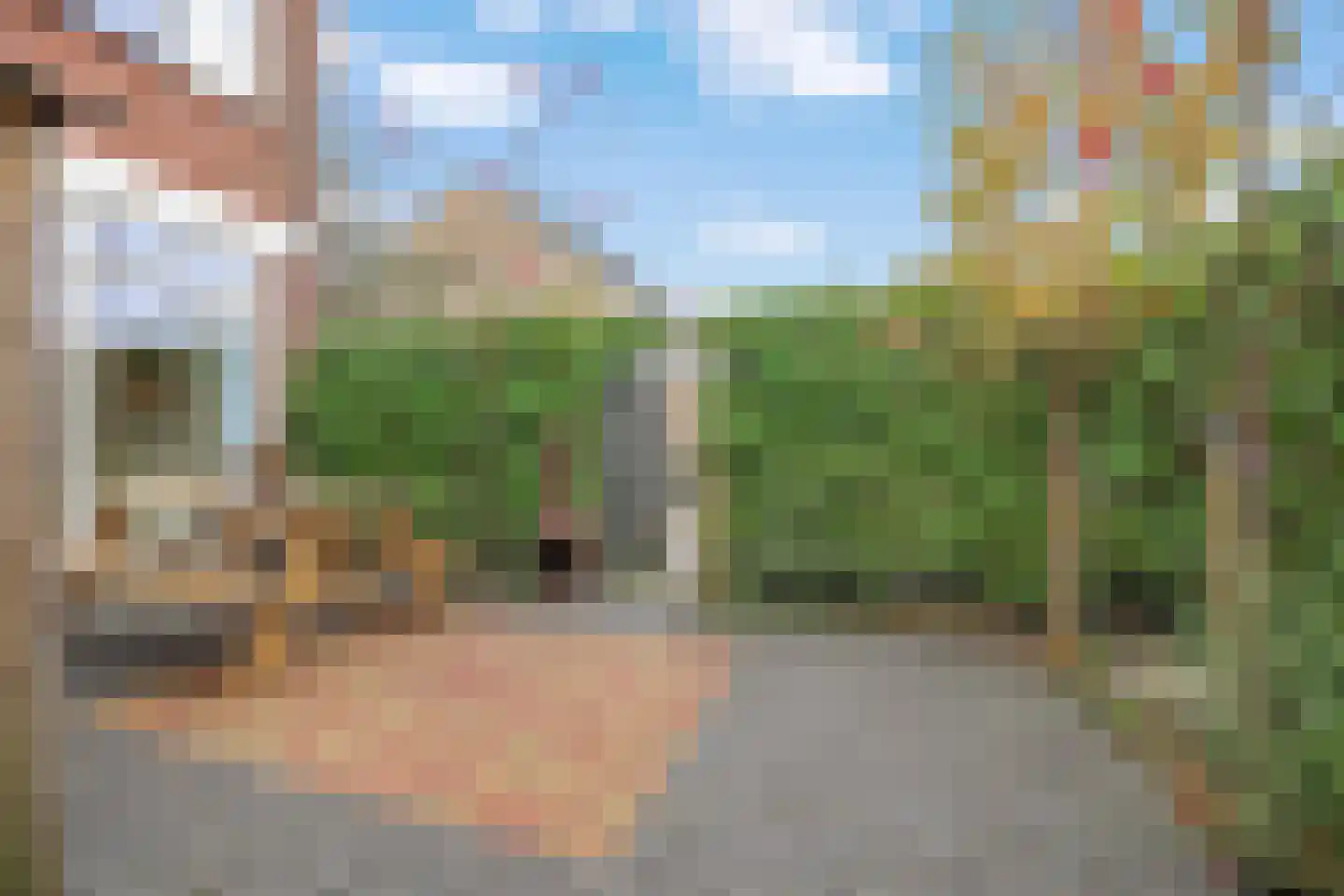 Maagdepalm 144 Leeuwarden thumbnail 38