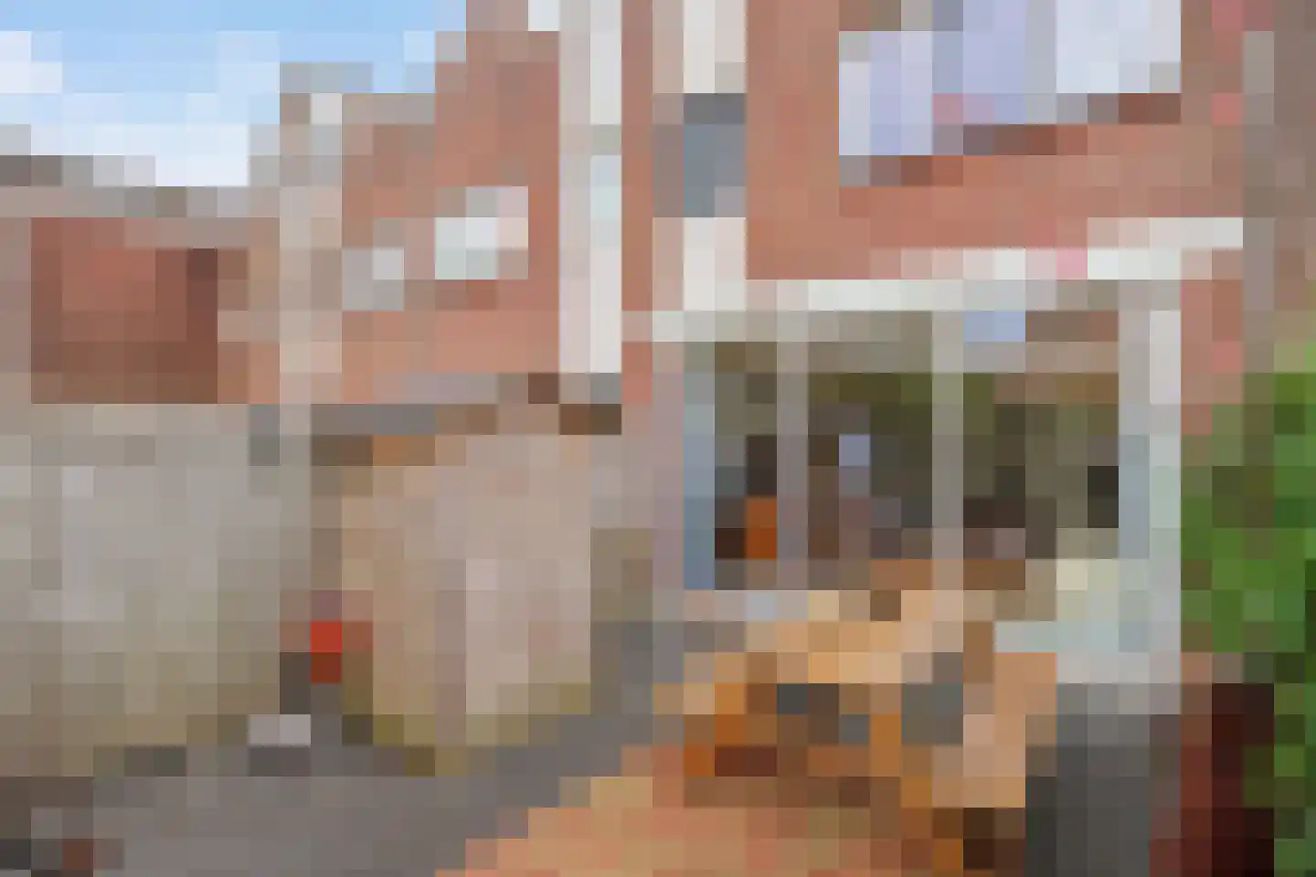 Maagdepalm 144 Leeuwarden thumbnail 39