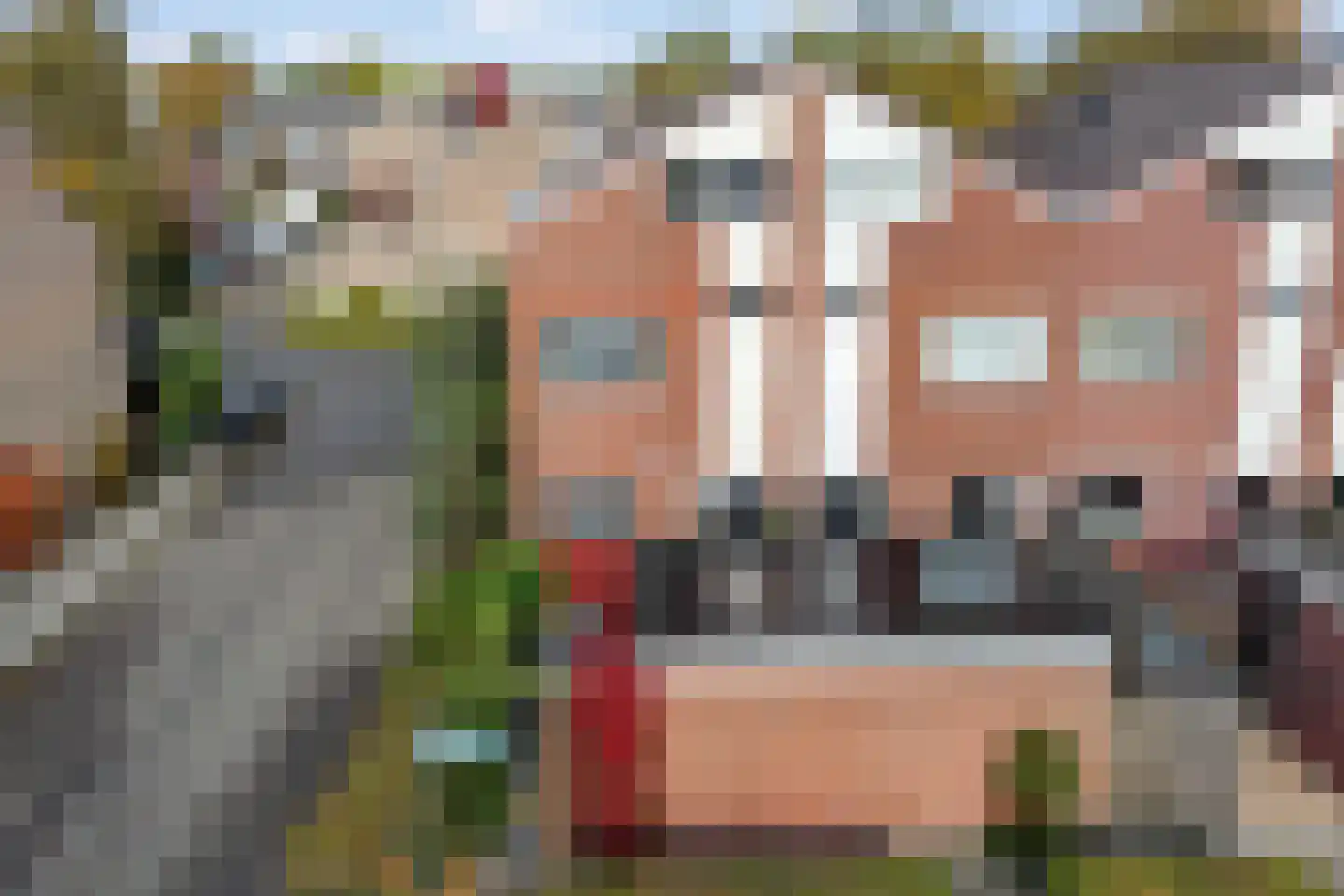 Maagdepalm 144 Leeuwarden thumbnail 42