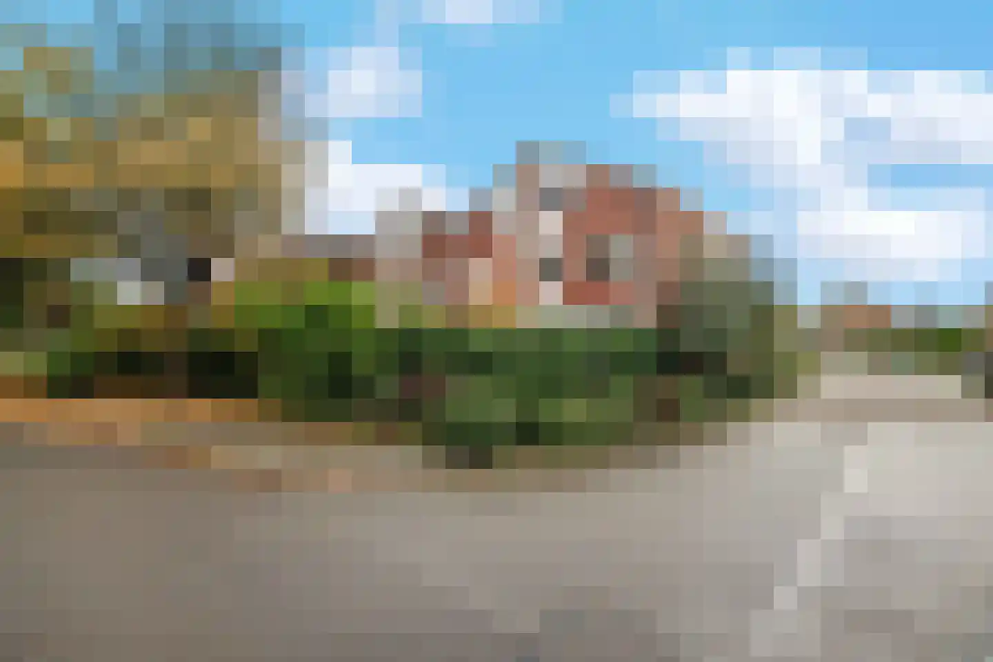 Maagdepalm 144 Leeuwarden thumbnail 45