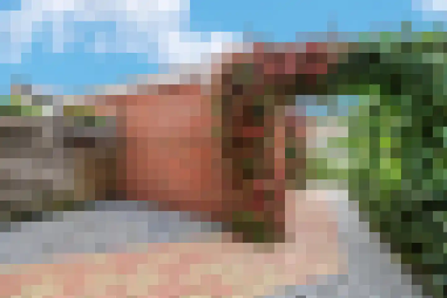 Maagdepalm 144 Leeuwarden thumbnail 7