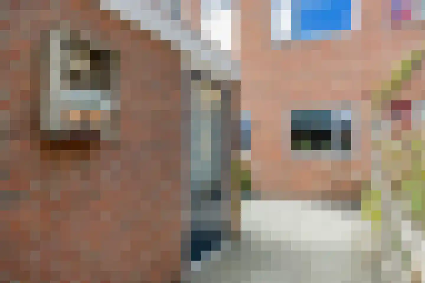 Maagdepalm 19 Leeuwarden thumbnail 10
