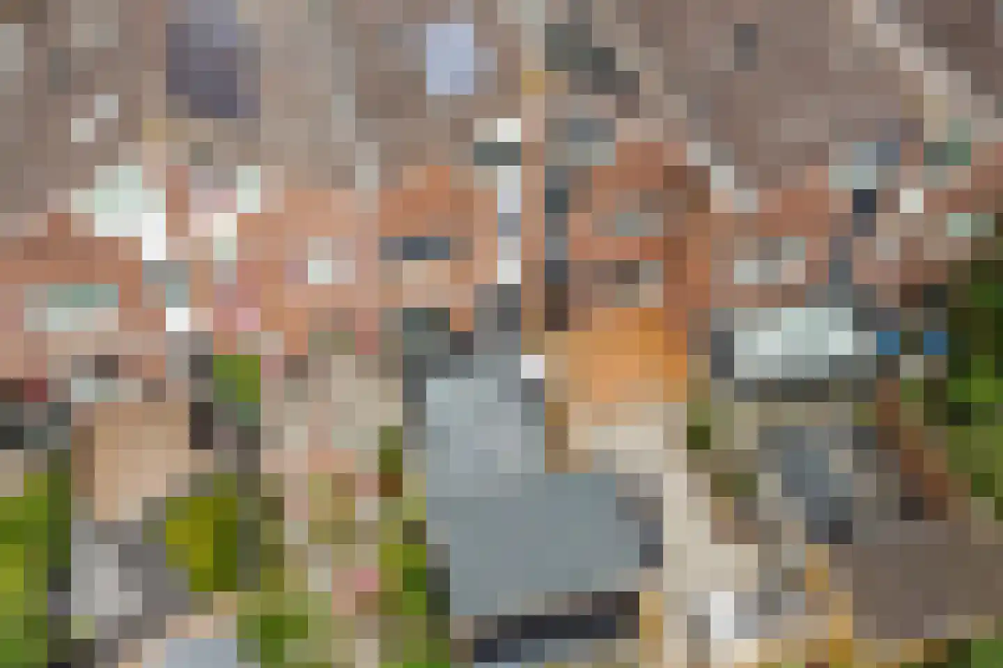 Maagdepalm 19 Leeuwarden thumbnail 33