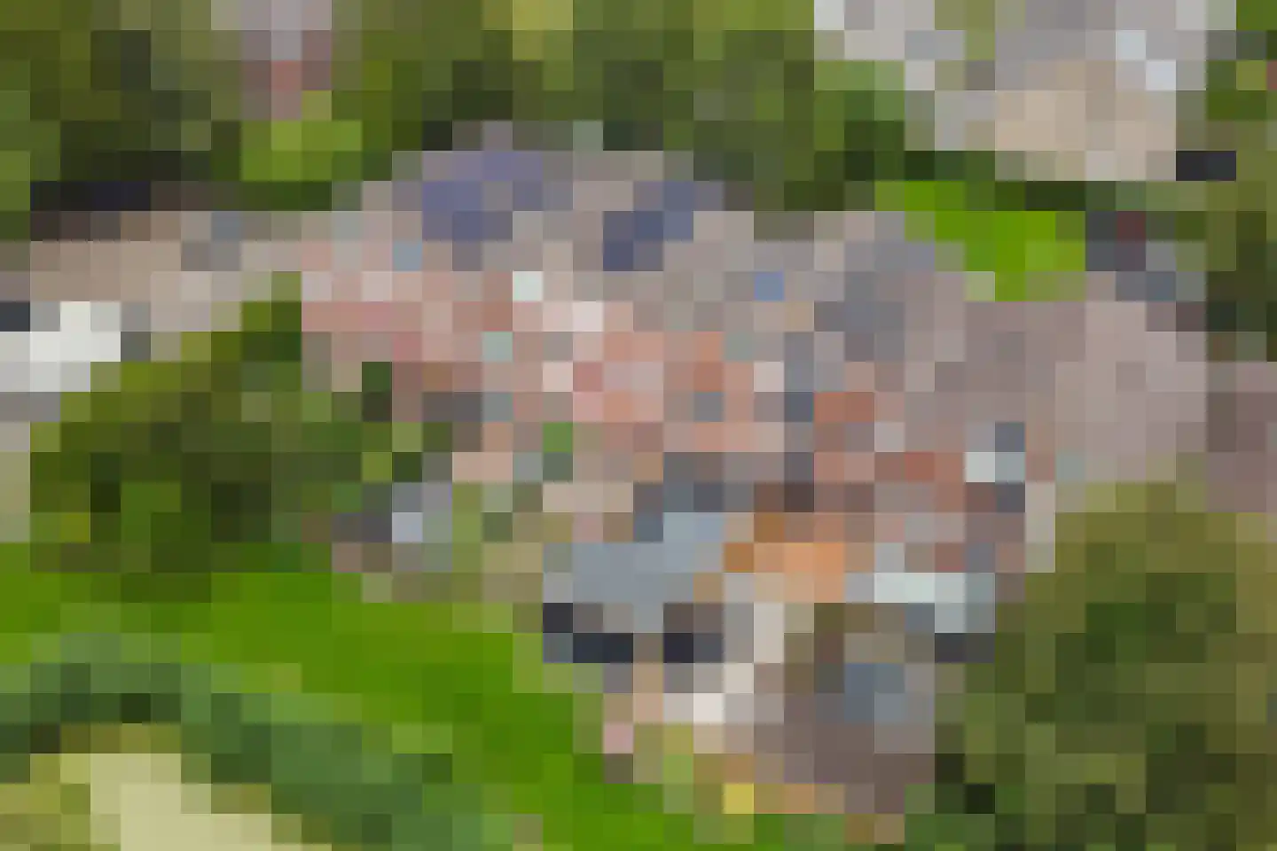 Maagdepalm 19 Leeuwarden thumbnail 35