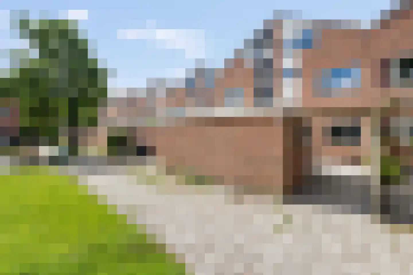 Maagdepalm 19 Leeuwarden thumbnail 9