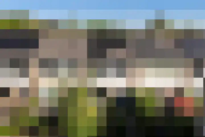 Maagdepalm 33 Leeuwarden thumbnail 37