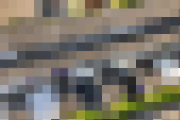 Maagdepalm 33 Leeuwarden thumbnail 43