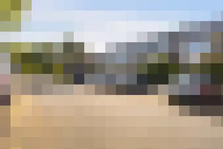 Maagdepalm 33 Leeuwarden thumbnail 5